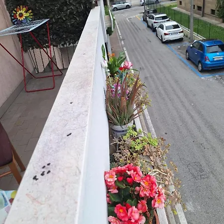 Venice Turismo Pro *