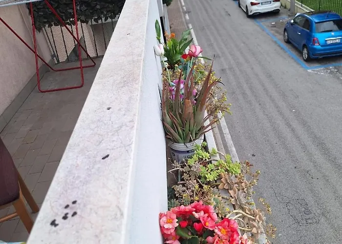 Venice Turismo Pro *